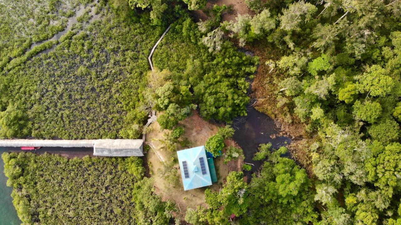 فيلا Lima Limon Eco-House بوكاس تاون المظهر الخارجي الصورة